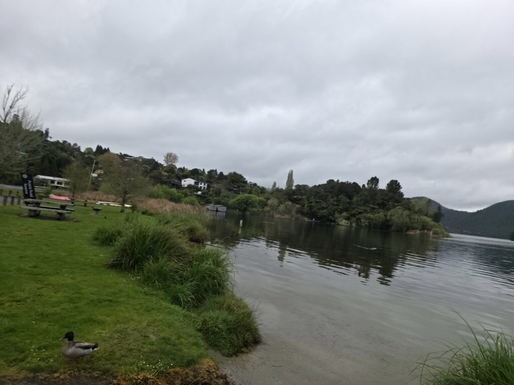 The Healing Power of Nature: How the Earth Restores Our Mind, Body, and Soul